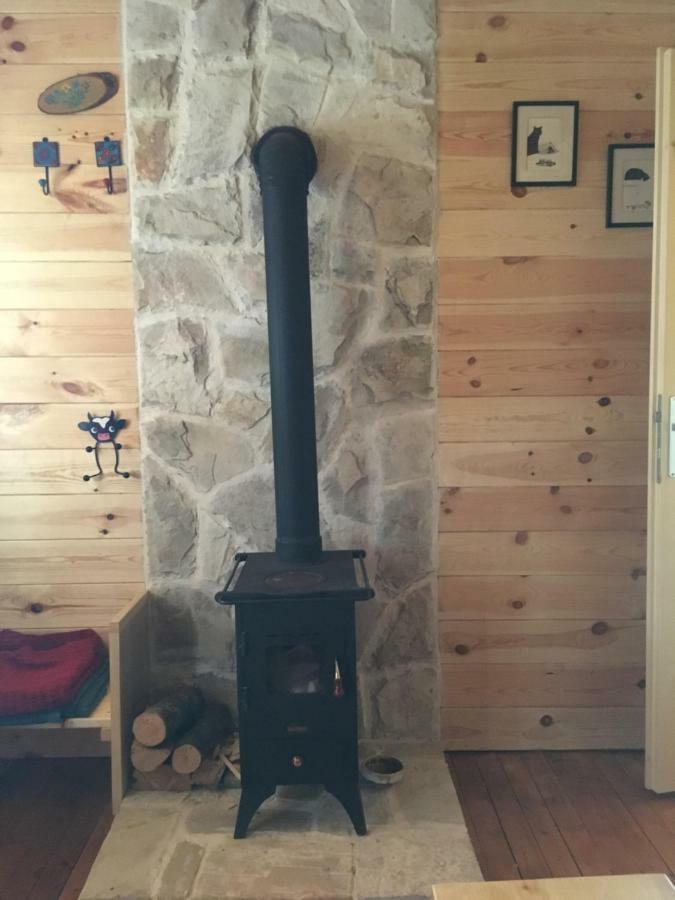 Cozy Cabin Zabljak  Bagian luar foto