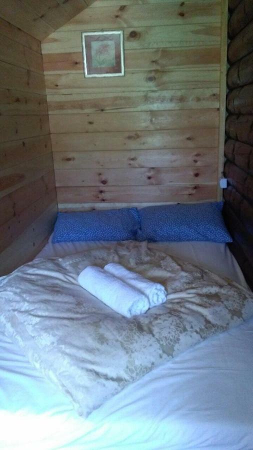 Cozy Cabin Zabljak  Bagian luar foto